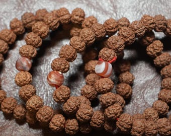 Five Mukhi Rudraksha with Fine Shape 12mm Beads With Tibetan Fire Agate