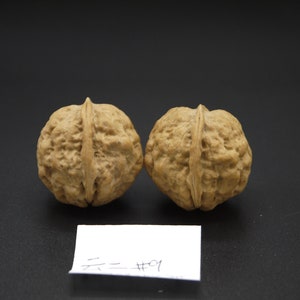 Pair of Matched Two Faced Petite Yunnan Iron Walnut Pair 30 mm 小二棱云铁核桃手捻 image 1