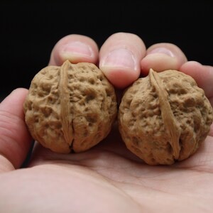 Pair of Matched Two Faced Petite Yunnan Iron Walnut Pair 30 mm 小二棱云铁核桃手捻 image 5