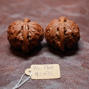 May include: Two intricately carved walnut sculptures, each with a detailed, textured surface and a natural brown color. A small tag with the text "WL Flat 42x31" is attached. The sculptures are displayed on a textured, brown surface.