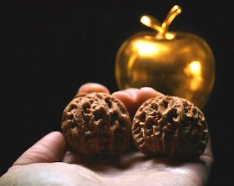 Matched Chinese Feng Shui Walnuts: Big Apple 46 x 41 mm