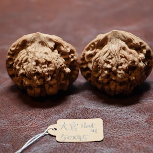 Matched Chinese Walnuts Scholar's Hat XL (50 x 45 mm)