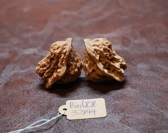 Matched Chinese Walnut Pair, Loving Bird Shape Mini XIII (37 x 44 mm)