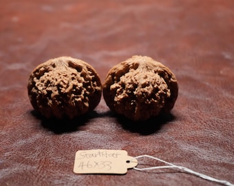 Matched Chinese Walnuts Scholar's Hat +STAR XL (46 x 33 mm)