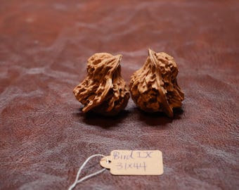 Matched Chinese Walnut Pair, Loving Bird Shape Mini IX (31 x 44 mm)