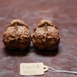 May include: Two brown, textured walnut shells are displayed on a brown surface. A small tag with the text "Iron 3" and the measurements "41x41" is attached to the walnuts. The walnuts have a detailed, natural appearance.