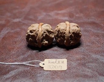 Passender Chinesischer Wenwan Walnuss Krötenkopf: Feng Shui Sammlerstück XIII (37 x 29 mm Mini)