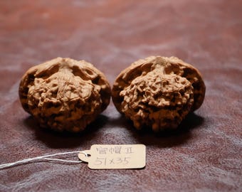 Matched Chinese Walnuts Scholar's Hat XL (51 x 35 mm)