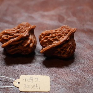 Matchande kinesisk valnötspar, kärleksfull fågelformad knubbig fågel (32 x 41 mm)