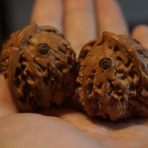 Pair of Matched Chinese Collection Walnut with Owl Carving baby owls image 5