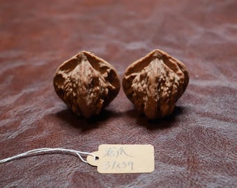 Matched Chinese Walnut Pair Dragon Claw (37 x 39 mm)