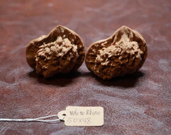 Matched Chinese Walnut Pair White Rhinoceros (50 x 48 mm)