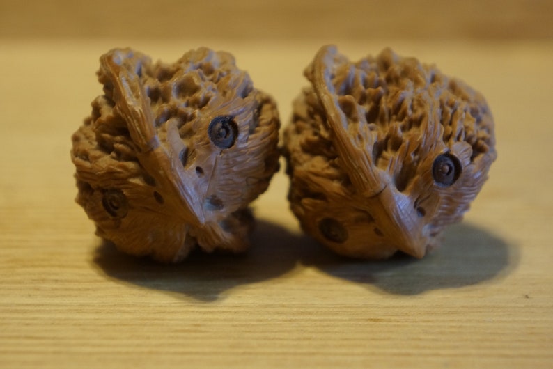 Pair of Matched Chinese Collection Walnut with Owl Carving baby owls image 4