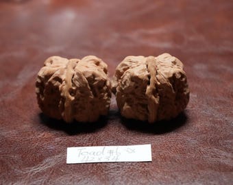 Cabeza de sapo de nogal Wenwan china a juego VI: Objeto de colección Feng Shui (42 x 34 mm)