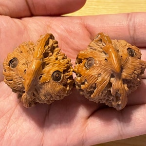 Pair of Matched Chinese Collection Walnut with Owl Carving baby owls image 7