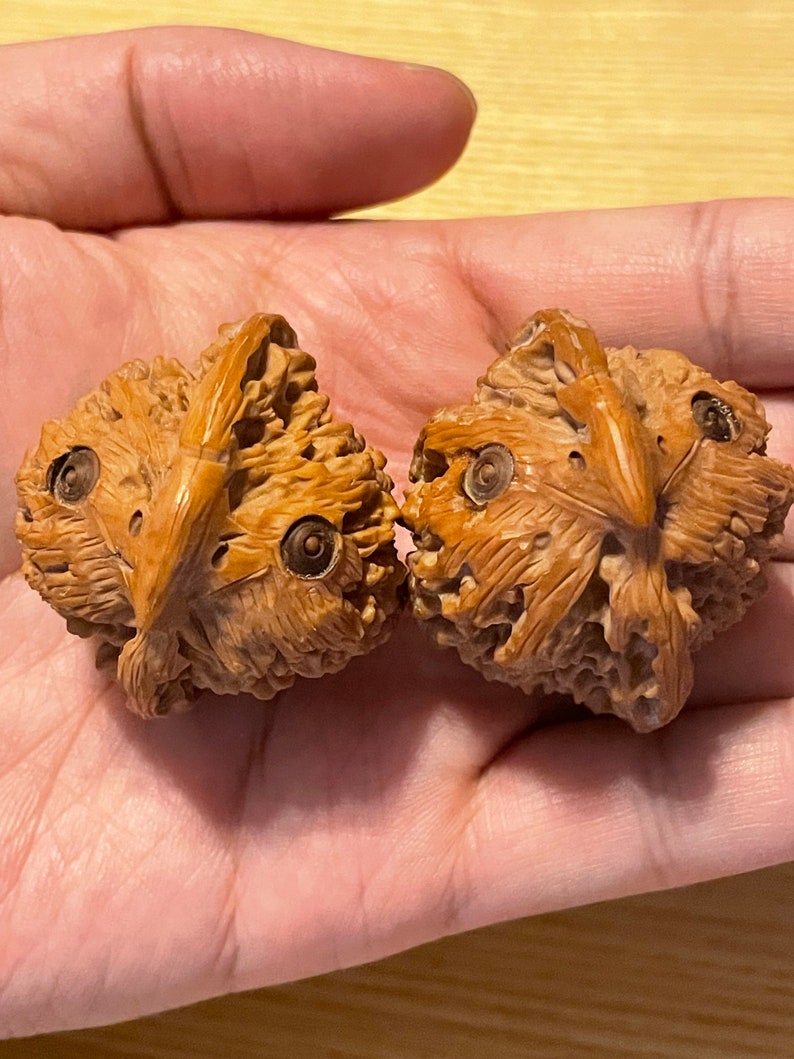 Pair of Matched Chinese Collection Walnut with Owl Carving baby owls image 7