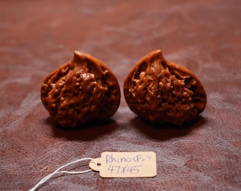 Matched Chinese Walnut Pair Rhinoceros Shaped Polished II (47x 45 mm)