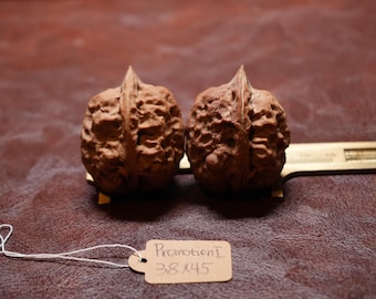 Matched Chinese Scholar Walnuts, Feng Shui Home Decor Tall Promotion II (38 x45 mm Pair)