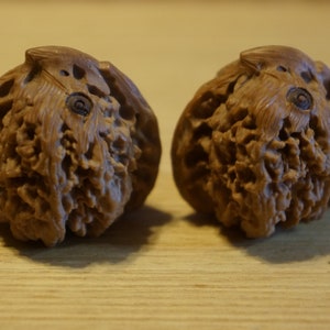 Pair of Matched Chinese Collection Walnut with Owl Carving baby owls image 3