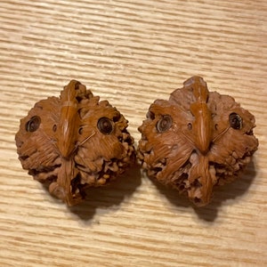 Pair of Matched Chinese Collection Walnut with Owl Carving baby owls image 6