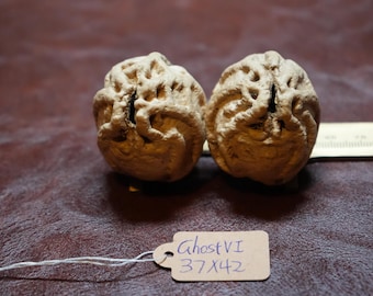 Ghost Face Walnut SAD 鬼脸 Mini VI (37 x 42 mm)