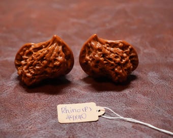 Matched Chinese Walnut Pair Rhinoceros Shaped Polished (49 x 40 mm)