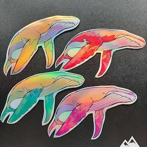 The 4 pastel whale sticker set - holographic stickers, glossy stickers