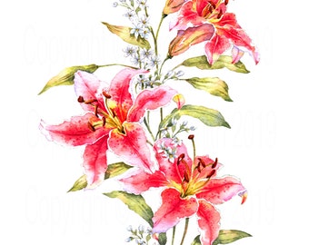LILIUM ENCHANTMENT, Watercolour Flower Print, Botanical style painting of scarlet lilies, Nature inspired gift, Wall art decor