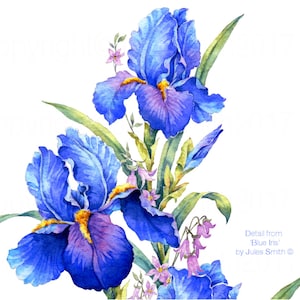 BLUE IRIS watercolour flower print, Original botanical flower painting, Nature inspired gift, Indigo and cobalt blue flowers, wall art decor image 3