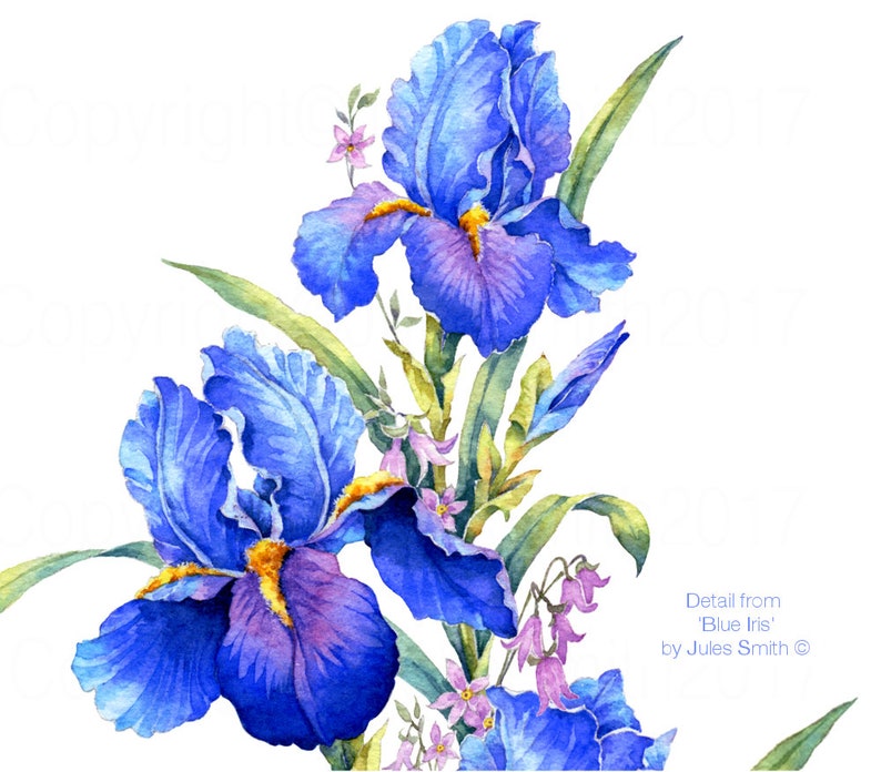 BLUE IRIS watercolour flower print, Original botanical flower painting, Nature inspired gift, Indigo and cobalt blue flowers, wall art decor image 3