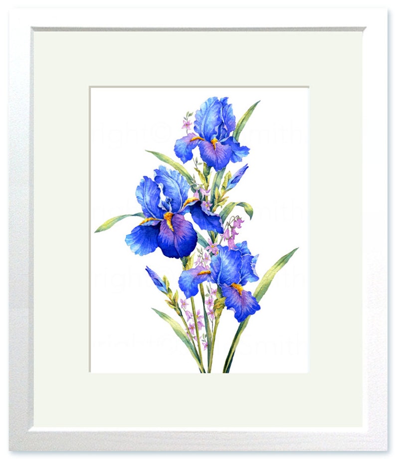 BLUE IRIS watercolour flower print, Original botanical flower painting, Nature inspired gift, Indigo and cobalt blue flowers, wall art decor image 7