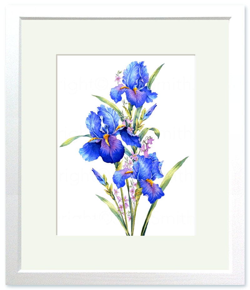 BLUE IRIS Watercolour Flower Print, Original Botanical Flower Painting,  Nature Inspired Gift, Indigo and Cobalt Blue Flowers, Wall Art Decor 