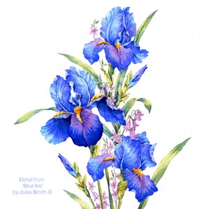 BLUE IRIS watercolour flower print, Original botanical flower painting, Nature inspired gift, Indigo and cobalt blue flowers, wall art decor image 2