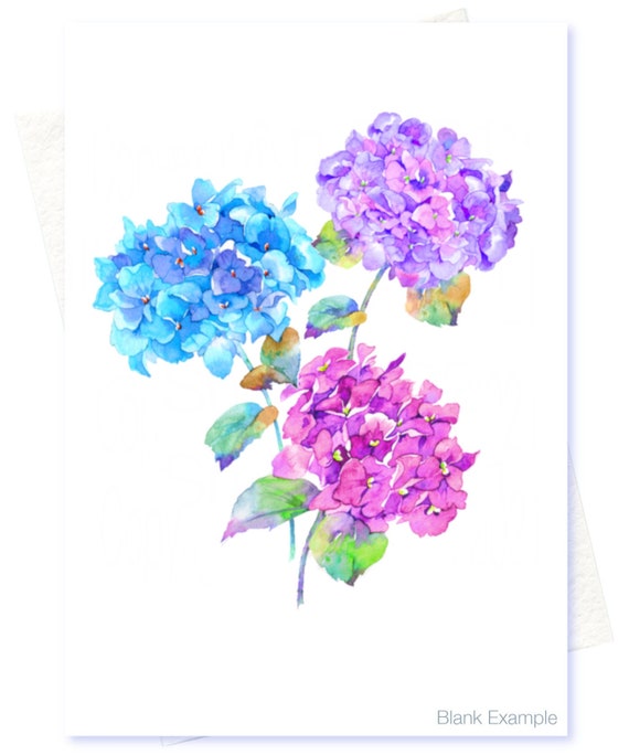Watercolor Hydrangea Pink Note Card Watercolor Hydrangea Pink Note Card