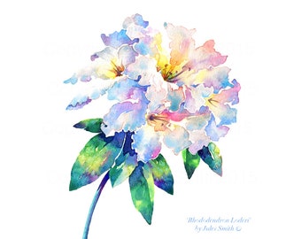 RHODODENDRON LODERI watercolour art print, Spring flower painting, Unique nature inspired gift idea, Wall art print, work from home refresh