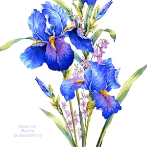 BLUE IRIS watercolour flower print, Original botanical flower painting, Nature inspired gift, Indigo and cobalt blue flowers, wall art decor image 6