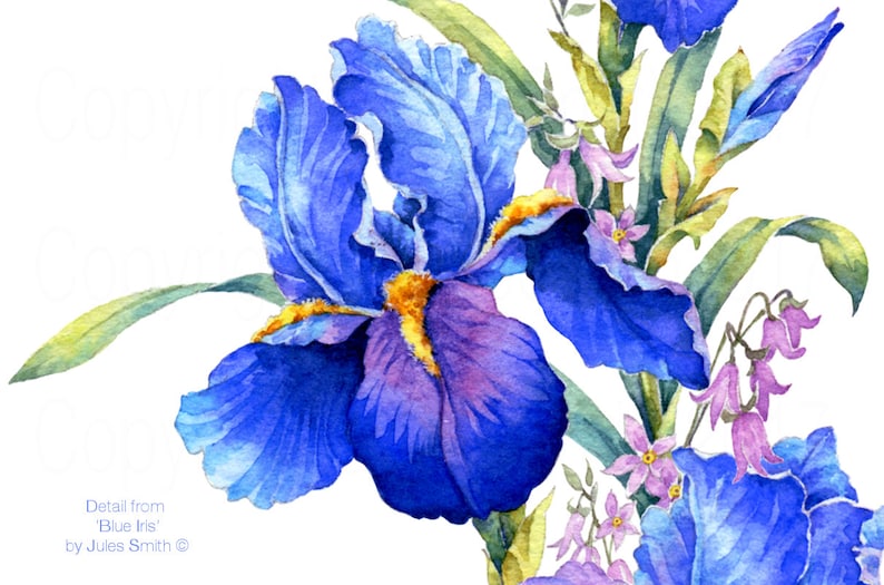 BLUE IRIS watercolour flower print, Original botanical flower painting, Nature inspired gift, Indigo and cobalt blue flowers, wall art decor image 5