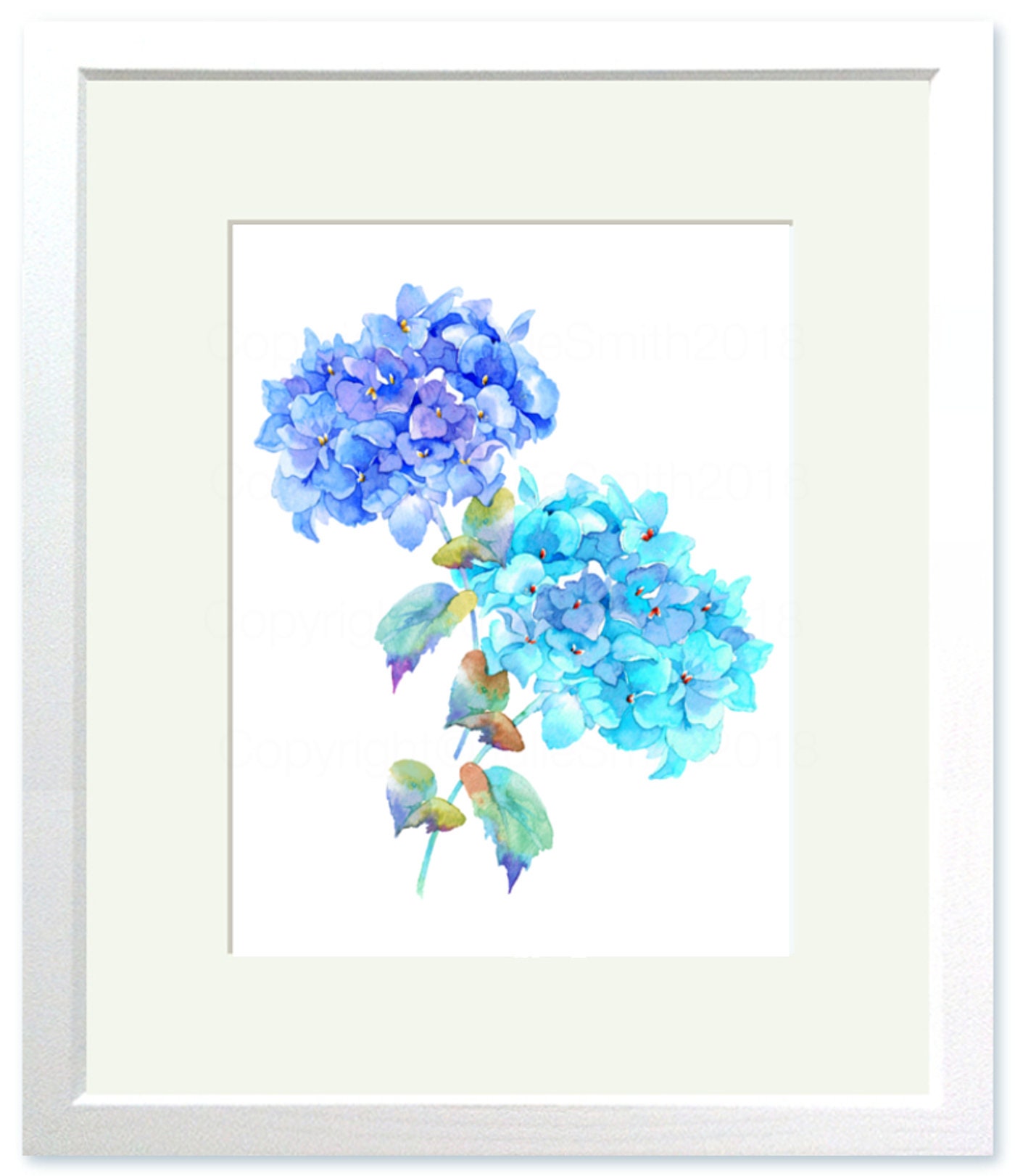 紫陽花とリンドウ　水彩画 mqdefault.jpg