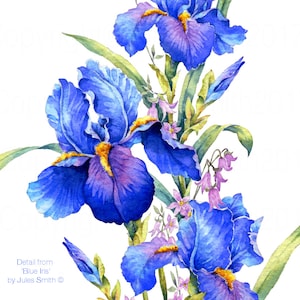 BLUE IRIS watercolour flower print, Original botanical flower painting, Nature inspired gift, Indigo and cobalt blue flowers, wall art decor image 4