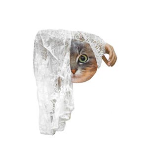 Hidden, Collage Art Print, Cat Collage, Collage Print, Cat Art, Art Print, Surreal Collage Art, Paper Collage, Paper Art, Cat Lover Art
