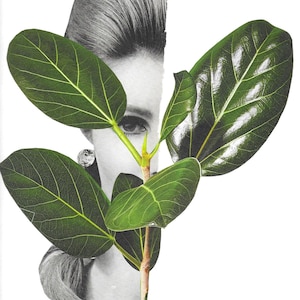 Vintage Vegetation, Original Collage, Vintage Woman, Surreal Collage, Handmade Collage, Collage, Collage Art, Paper Collage, Mixed Media Art