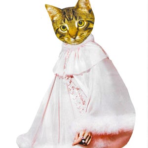 Pretty in Pink, Art Print, Cat Collage, Cat Art, Collage Print, Pretty in Pink, Cat Print, Fine Art Print, Cat Lover Art