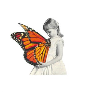 Contemplation, Vintage Collage, Butterfly Collage, Butterfly Art, Collage Art, Original Collage, Wall Art