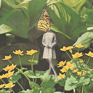 Evolving, Original Collage, Vintage Collage, Butterfly Art, Butterfly Gift, Collage Art, Surreal Collage, Mixed Media Collage