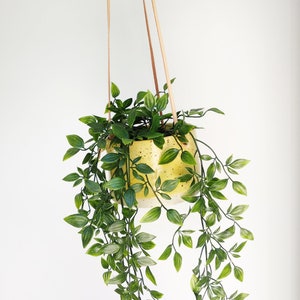 Yellow Hanging Pot Genuine leather flat cords Cylinder flower vase/pot/planter freckles / spots body pastel colour image 6