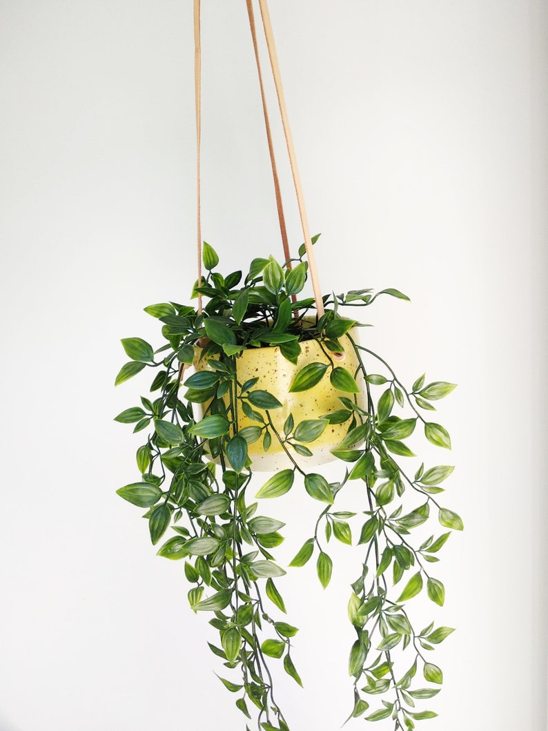 Yellow Hanging Pot Genuine leather flat cords Cylinder flower vase/pot/planter freckles / spots body pastel colour image 6