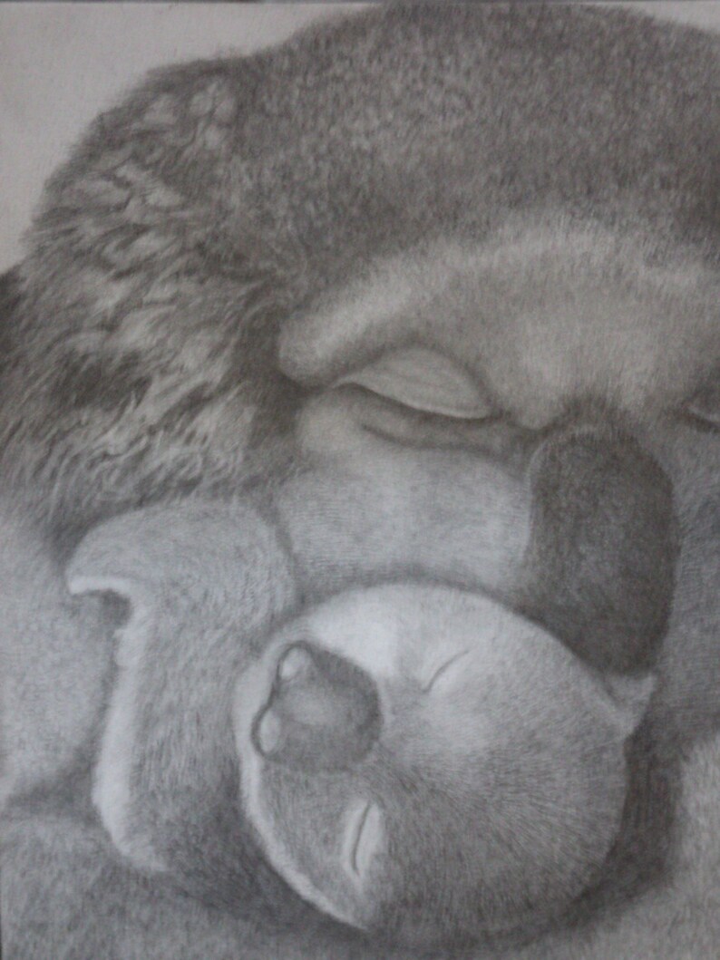 graphite portrait of mother and cub koalas