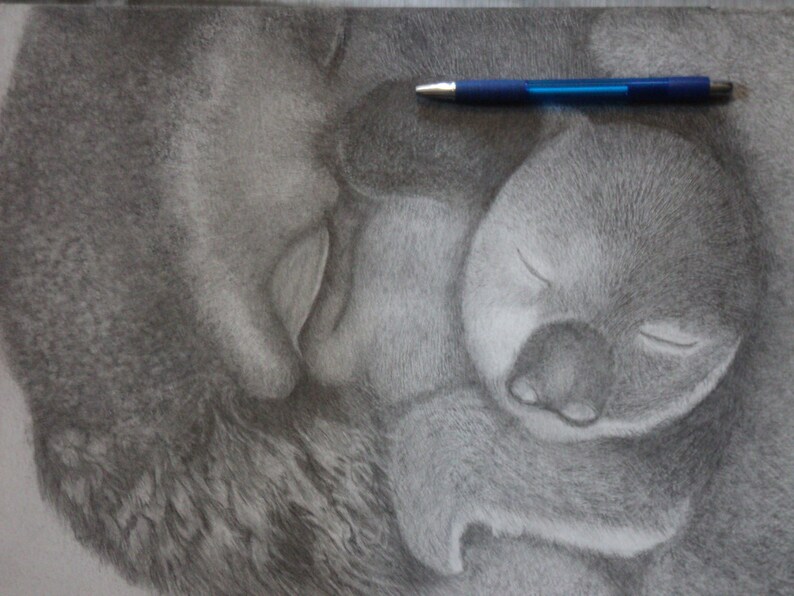 graphite portrait of mother and cub koalas