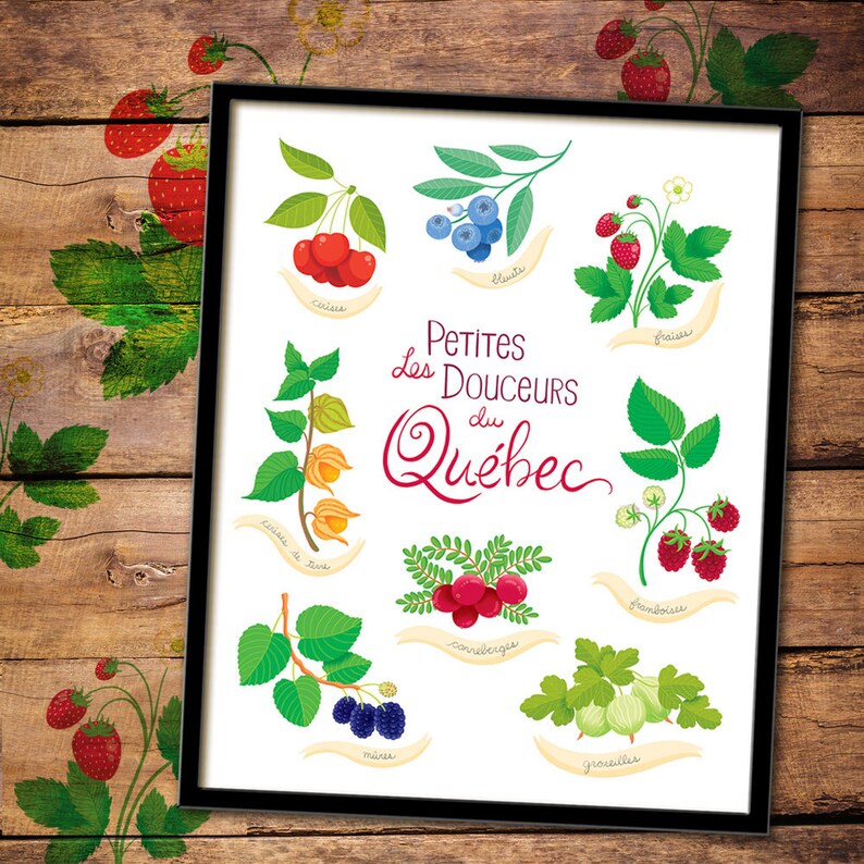 Affiche des petits fruits du Québec, affiche illustrée, fait au Québec, souvenir du Québec image 2