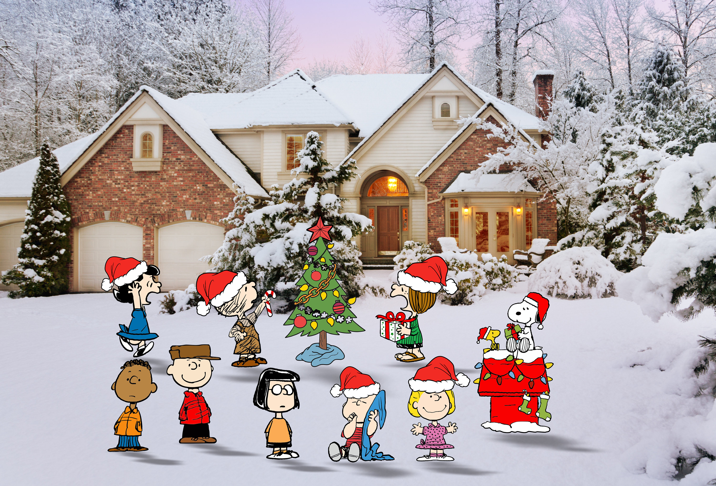 Peanuts Christmas Yard - Etsy